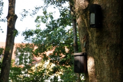 Stadtpark_Fledermaus