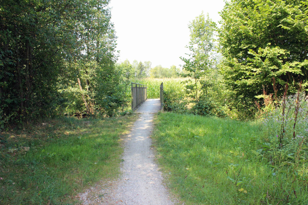Gast auf dem Land