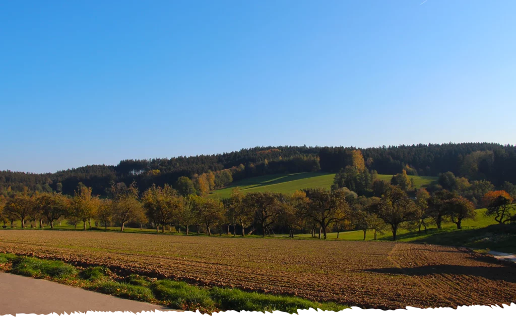 Gast auf dem Land